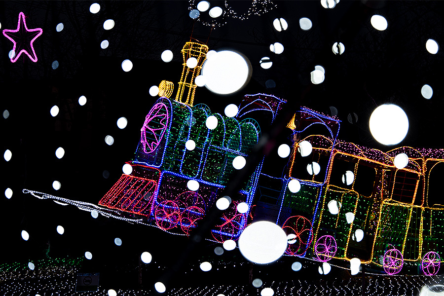 桜十字 サンクス・イルミネーション